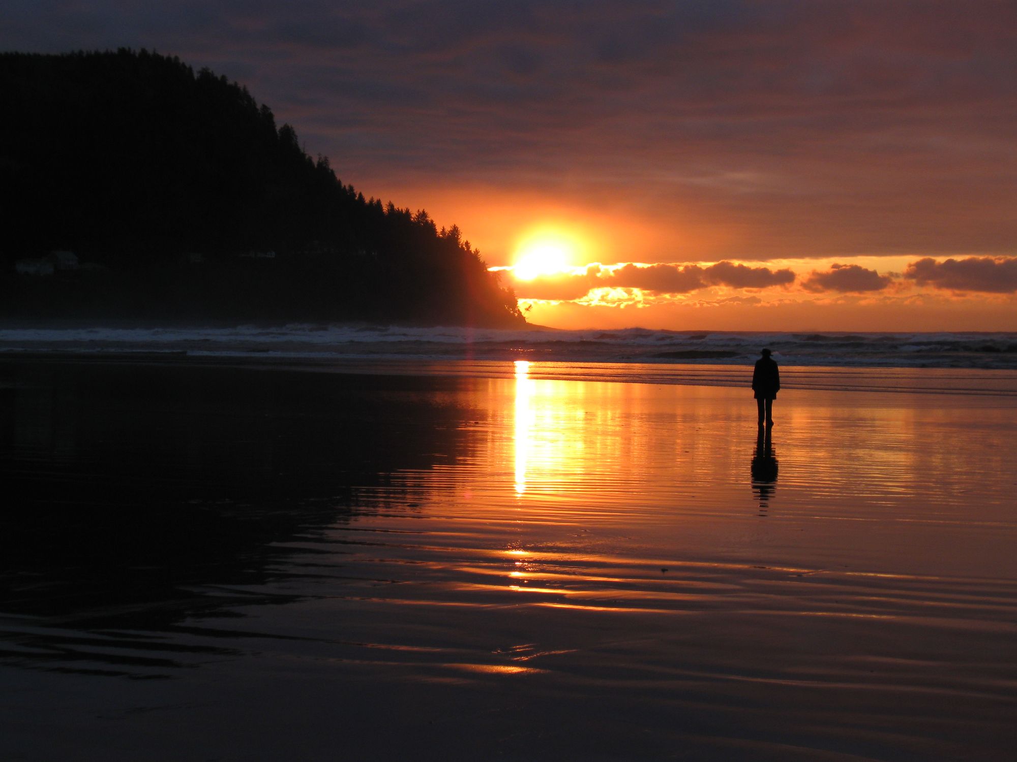 Oregon's Famous Exploding Whale