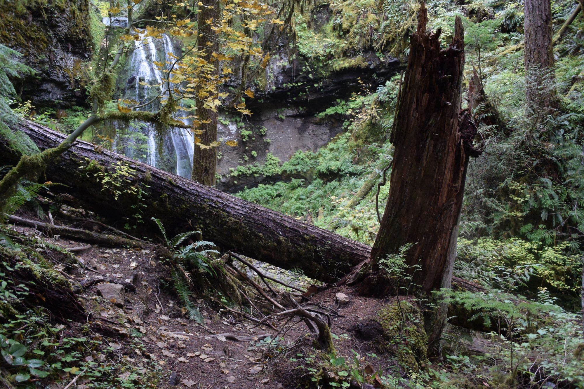 A Stroll through Middle Earth