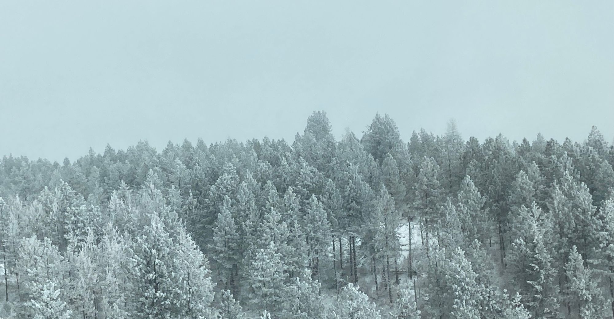 Ina's New Year: A Flash Fiction Story