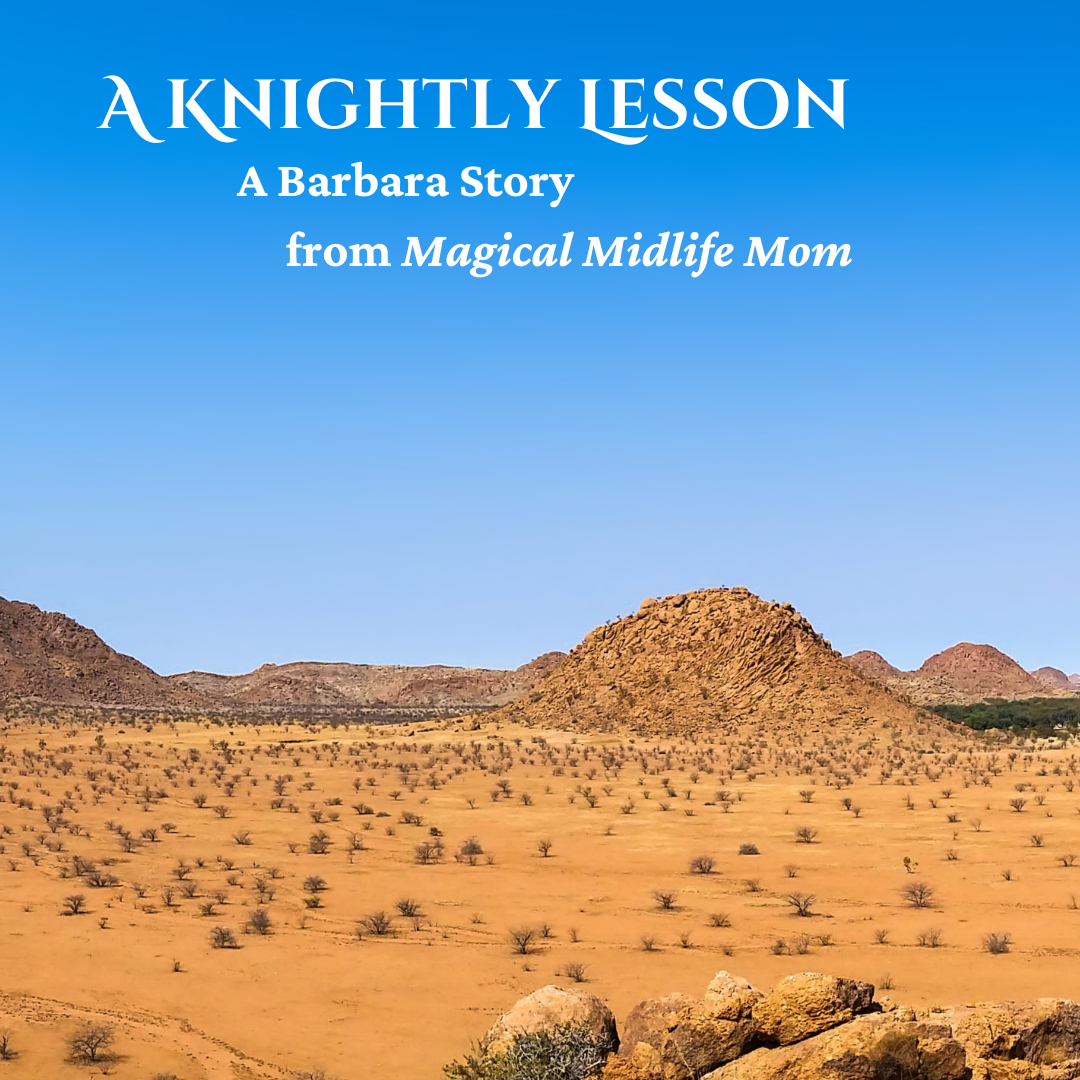A Knightly Lesson