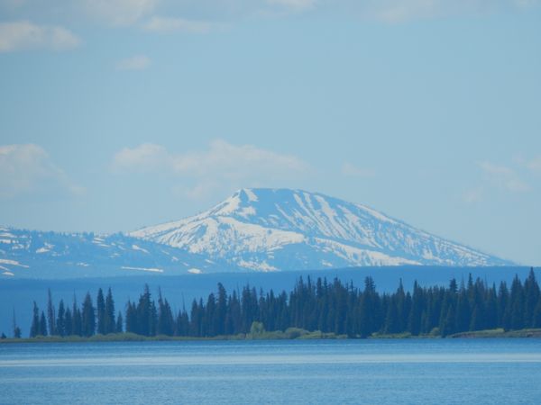 The Value of a First Impression