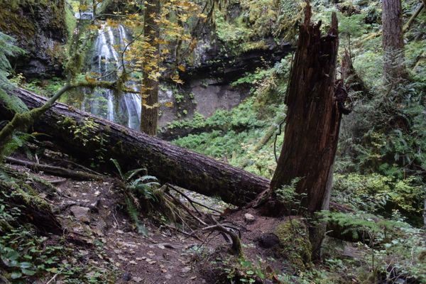 A Stroll through Middle Earth