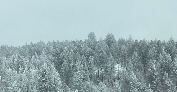 Ina's New Year: A Flash Fiction Story