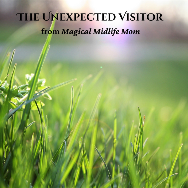 The Unexpected Visitor